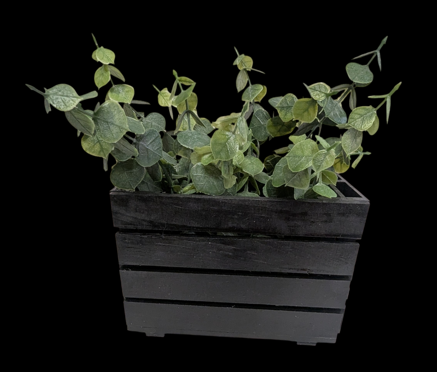 Planter Box